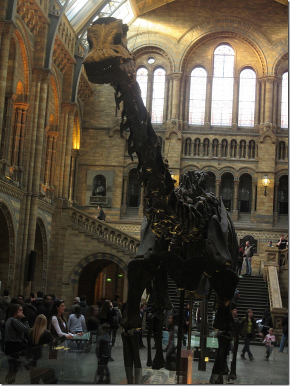 king henry horse