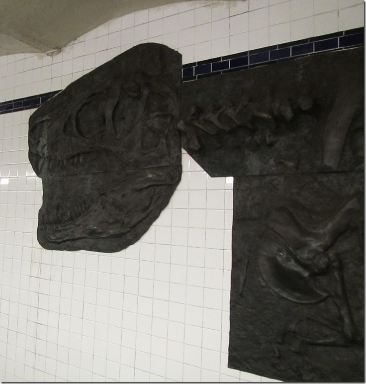 fossil