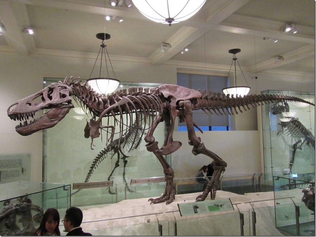 t-rex