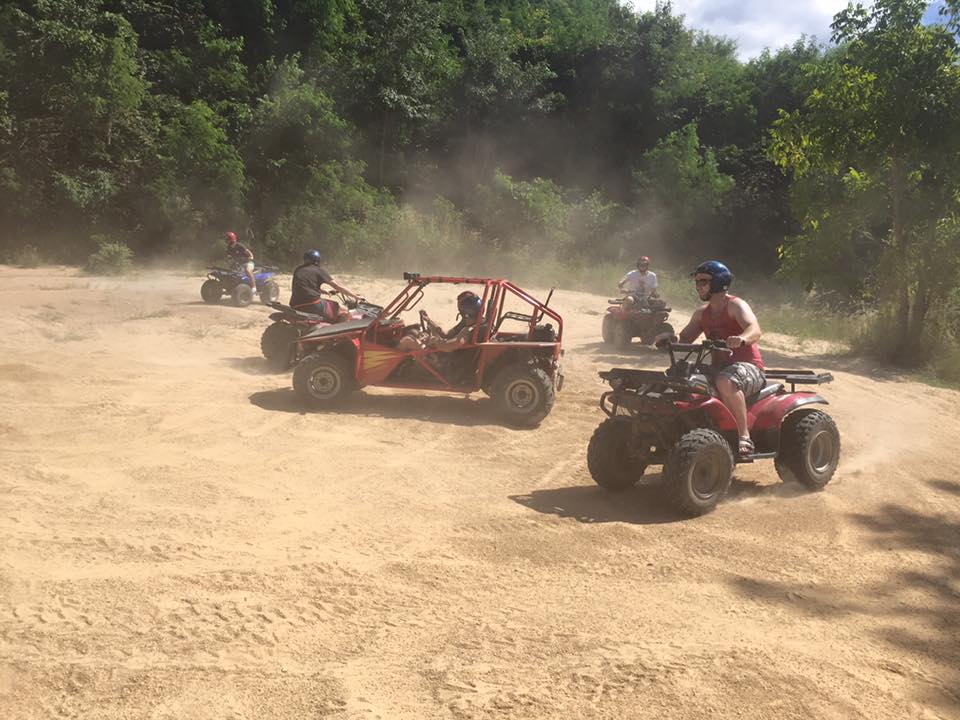 buggies